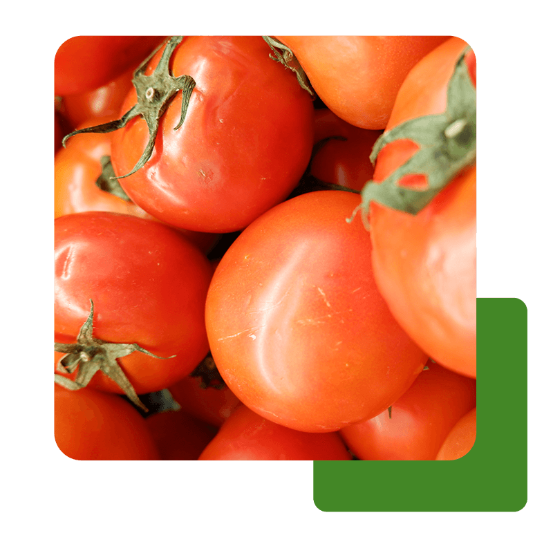 Rezeki Fresh Market produk daging, sayuran, buah, organik yang segar, higienis, dan berkualitas.